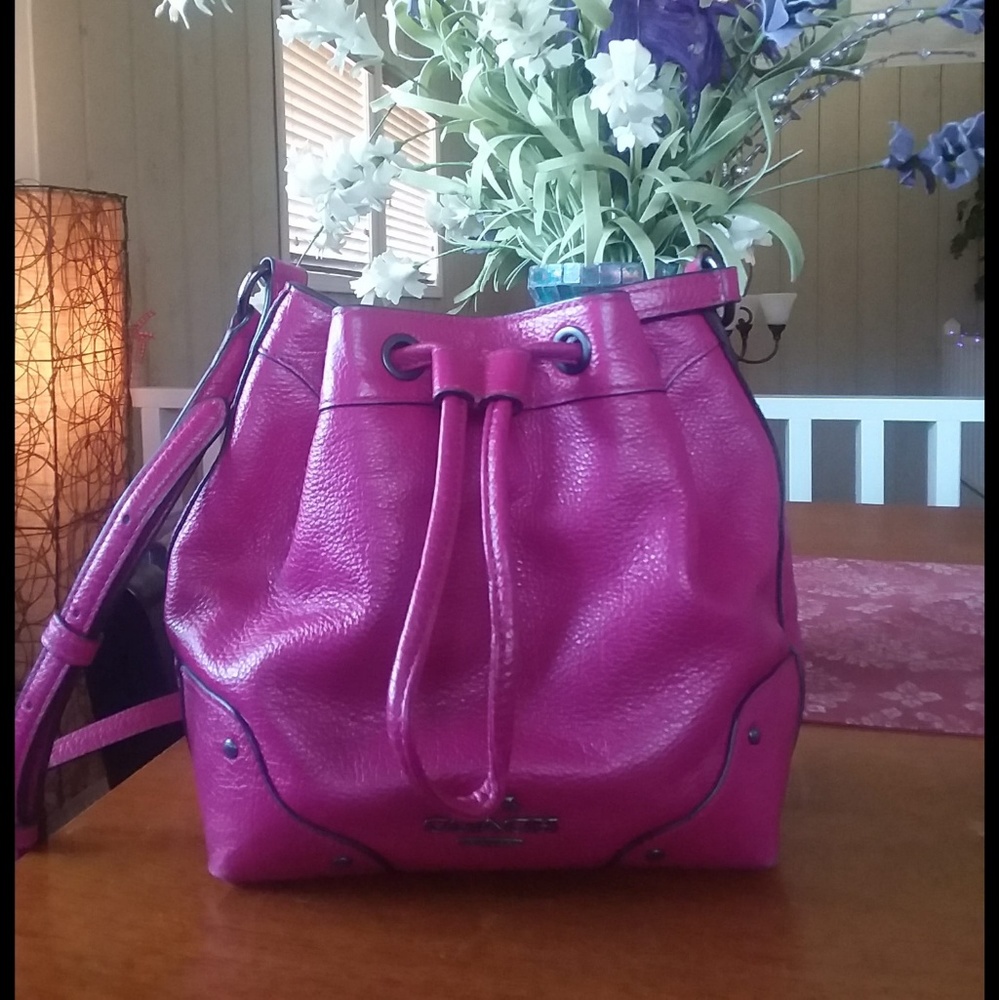 Coach mini drawstring mickie